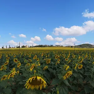 http://incantevole-appartamento-in-borgo-rurale.hotels-perugia.com